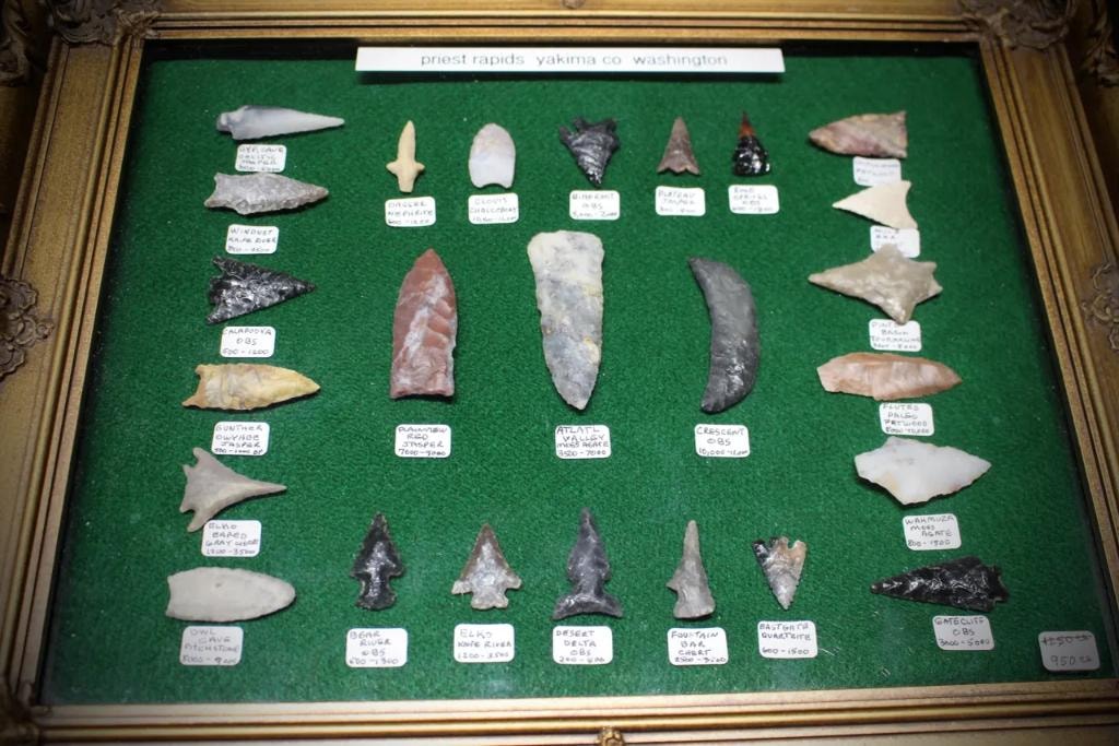 Framed display case of labeled arrowheads and stone points from Priest Rapids, Yakima Co., Washington
